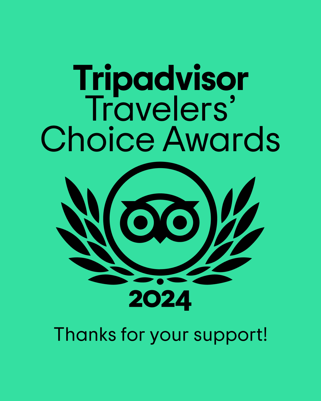 Tripadvisor Travelers Choice 2024